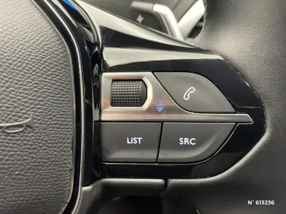 PEUGEOT 3008 II - voiture d'occasion - Photo 29