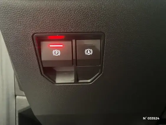 RENAULT MEGANE V - voiture d'occasion - Photo 30