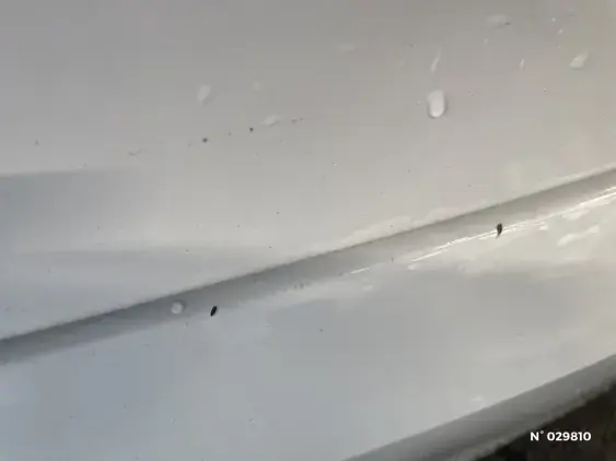 RENAULT CLIO REVERSIBLE V - voiture d'occasion - Photo 30