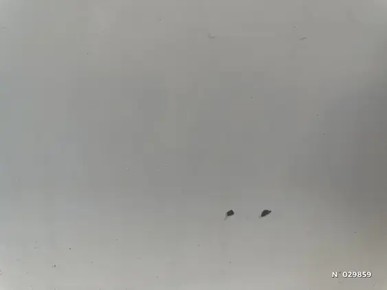 RENAULT CLIO V - voiture d'occasion - Photo 28