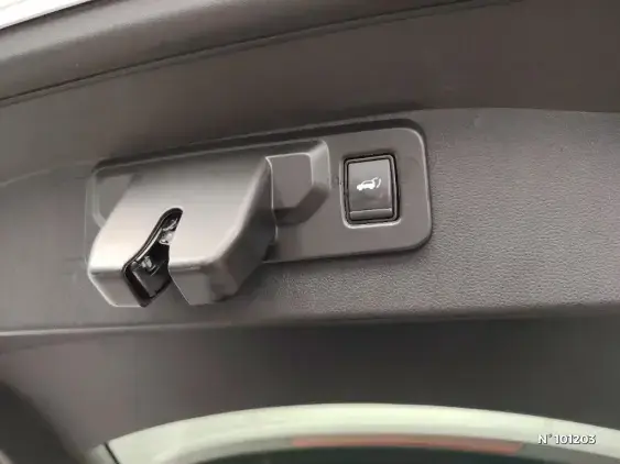 RENAULT AUSTRAL - voiture d'occasion - Photo 30