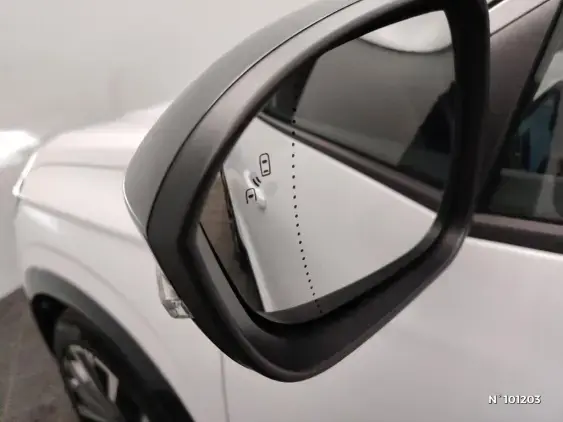 RENAULT AUSTRAL - voiture d'occasion - Photo 31