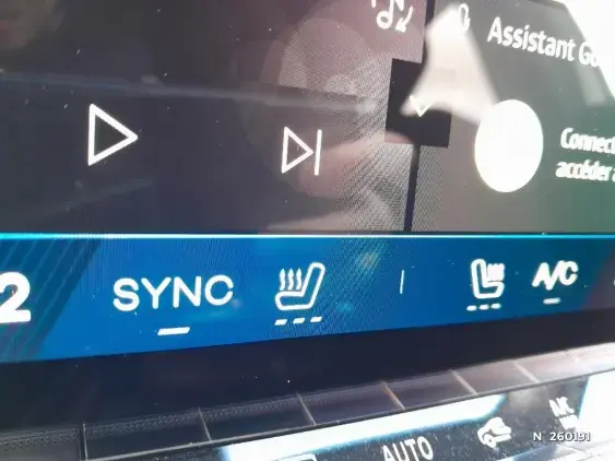 RENAULT RAFALE - voiture d'occasion - Photo 25