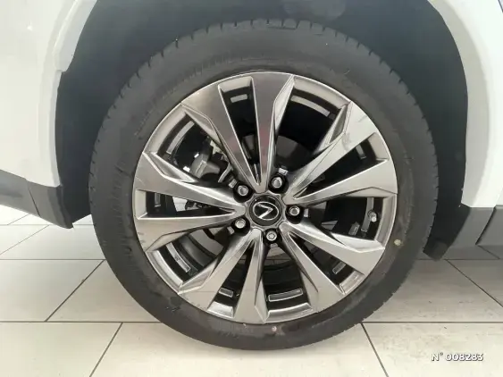 LEXUS UX ELECTRIQUE - voiture d'occasion - Photo 13