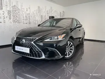 Acheter LEXUS ES ES 300h Business occasion en vente à LEXUS SAINT-MAXIMIN GUEUDET 1880