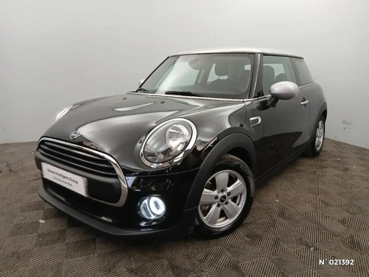 MINI  III