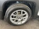 JEEP RENEGADE - Photo 23