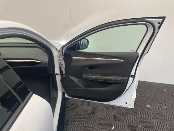 RENAULT MEGANE V - voiture d'occasion - Photo 19