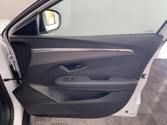 RENAULT MEGANE V - voiture d'occasion - Photo 20